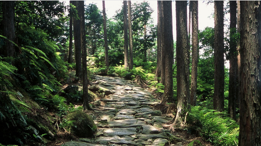 熊野古道